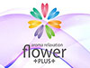 flower PLUS ~ フラワー プラス ~