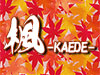  楓-KAEDE-