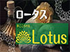 ロータス(Lotus)