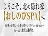 おしのびSPA