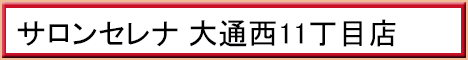 サロンセレナ 大通西11丁目店