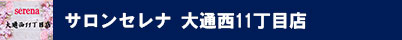 サロンセレナ 大通西11丁目店