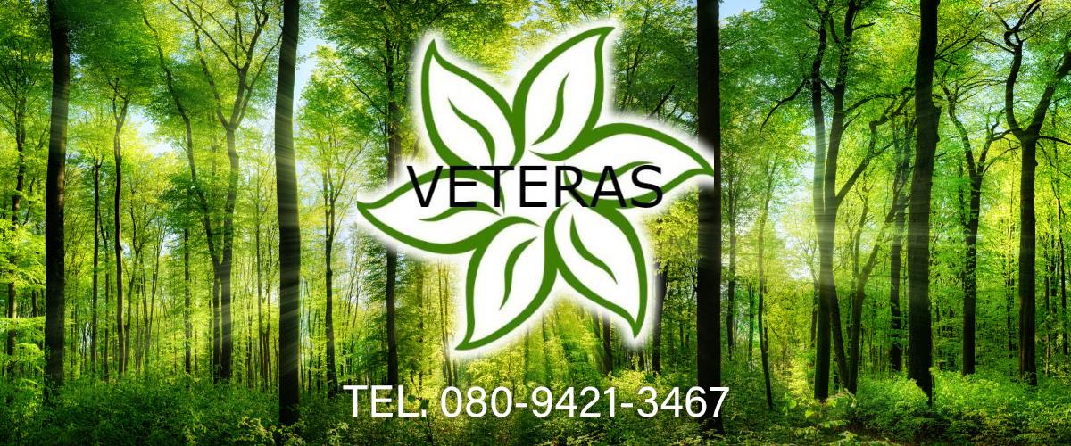 VETERAS ヴィテラス